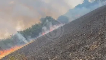 Incendie à Montmorillon - Vienne - 22 juin 2026 - Feux de forêts et d'espaces naturels