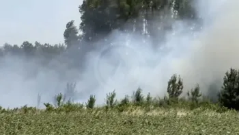 Incendie à Malviès - Aude - 22 juin 2026 - Feux de forêts et d'espaces naturels