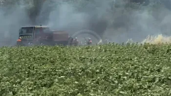 Incendie à Malviès - Aude - 22 juin 2026 - Feux de forêts et d'espaces naturels
