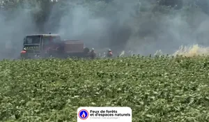 Incendie à Malviès (11) : le feu est éteint