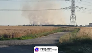 Incendie à Mareau-aux-Bois (45) : le feu est éteint