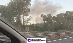 Incendie à Ayguemorte-les-Graves (33) : le feu est éteint