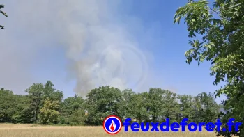 Incendie à Chaillac - Indre - 23 juin 2026 - Feux de forêts et d'espaces naturels