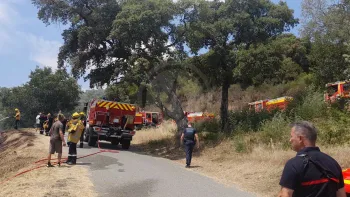 Incendie à Pégomas - Alpes-Maritimes - 23 juin 2026 - Feux de forêts et d'espaces naturels