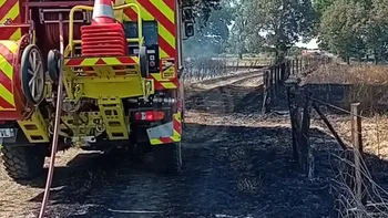 Incendie à Thiel-sur-Acolin - Allier - 23 juin 2026 - Feux de forêts et d'espaces naturels