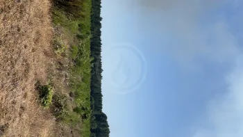 Incendie à Boussès - Lot-et-Garonne - 23 juin 2026 - Feux de forêts et d'espaces naturels
