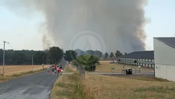 Incendie à Saint-Macaire-du-Bois - Maine-et-Loire - 23 juin 2026 - Feux de forêts et d'espaces naturels