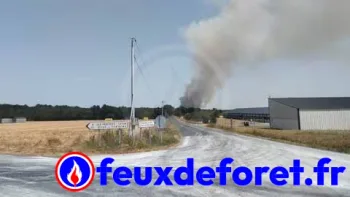 Incendie à Saint-Macaire-du-Bois - Maine-et-Loire - 23 juin 2026 - Feux de forêts et d'espaces naturels