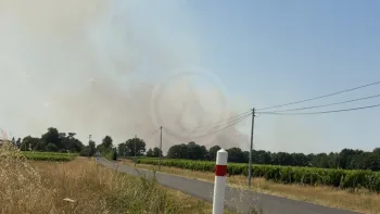 Incendie à Saint-Macaire-du-Bois - Maine-et-Loire - 23 juin 2026 - Feux de forêts et d'espaces naturels