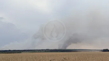 Incendie à Saint-Macaire-du-Bois - Maine-et-Loire - 23 juin 2026 - Feux de forêts et d'espaces naturels