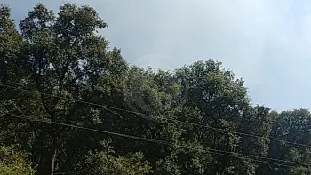 Incendie à Saint-Pons-de-Mauchiens - Hérault - 23 juin 2026 - Feux de forêts et d'espaces naturels