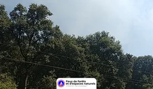 Incendie à Saint-Pons-de-Mauchiens (34) : les pompiers interviennent