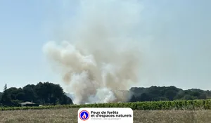 Incendie à Listrac-Médoc (33) : le feu est éteint