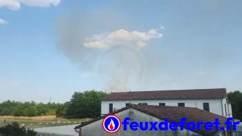 Incendie à Daux - Haute-Garonne - 23 juin 2026 - Feux de forêts et d'espaces naturels