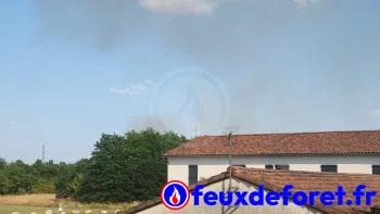 Incendie à Daux - Haute-Garonne - 23 juin 2026 - Feux de forêts et d'espaces naturels