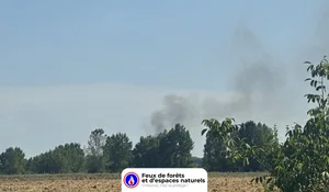 Incendie à Daux (31) : les pompiers interviennent