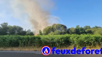 Incendie à Veyrac - Haute-Vienne - 23 juin 2026 - Feux de forêts et d'espaces naturels
