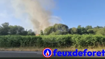 Incendie à Veyrac - Haute-Vienne - 23 juin 2026 - Feux de forêts et d'espaces naturels