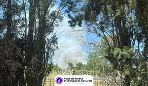 Incendie à Corneilla-la-Rivière (66) : le feu est éteint
