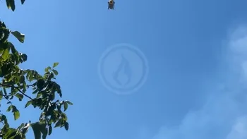 Incendie à Biozat - Allier - 24 juin 2026 - Feux de forêts et d'espaces naturels