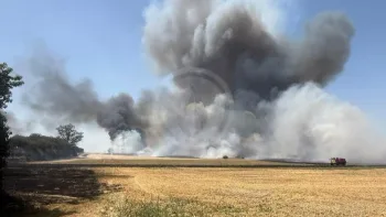 Incendie à Marsais - Charente-Maritime - 24 juin 2026 - Feux de forêts et d'espaces naturels