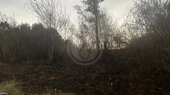 Incendie à Marsais - Charente-Maritime - 24 juin 2026 - Feux de forêts et d'espaces naturels