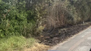 Incendie à Marsais - Charente-Maritime - 24 juin 2026 - Feux de forêts et d'espaces naturels