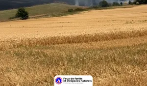 Incendie à Moncaut (47) : les pompiers interviennent