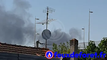 Incendie à Bordeaux - Gironde - 24 juin 2026 - Feux de forêts et d'espaces naturels