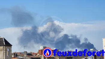 Incendie à Bordeaux - Gironde - 24 juin 2026 - Feux de forêts et d'espaces naturels