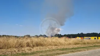 Incendie à Aillas - Gironde - 24 juin 2026 - Feux de forêts et d'espaces naturels