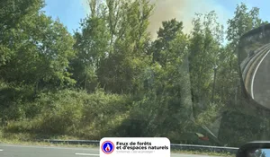 Incendie à Aillas (33) : le feu est éteint