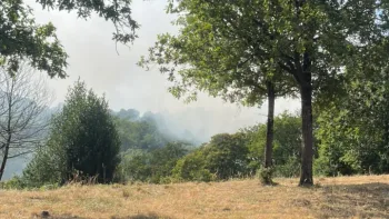 Incendie à Marzan - Morbihan - 24 juin 2026 - Feux de forêts et d'espaces naturels
