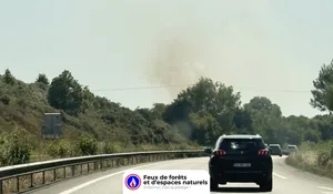 Incendie à Marzan (56) : le feu est éteint