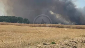 Incendie à Saint-Firmin-des-Bois - Loiret - 24 juin 2026 - Feux de forêts et d'espaces naturels