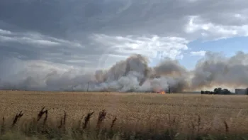Incendie à Aigrefeuille-d'Aunis - Charente-Maritime - 24 juin 2026 - Feux de forêts et d'espaces naturels