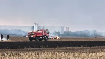 Incendie à Aigrefeuille-d'Aunis - Charente-Maritime - 24 juin 2026 - Feux de forêts et d'espaces naturels