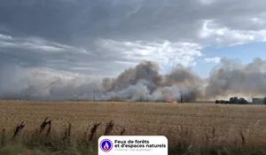 Incendie à Aigrefeuille-d'Aunis (17) : le feu est éteint