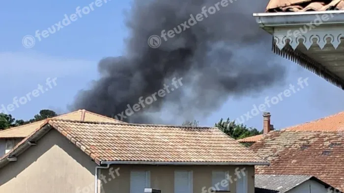 Incendie à Sanguinet - Landes - 27 mai 2026 - Feux de forêts et d'espaces naturels