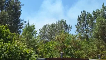 Incendie à Donnezac - Gironde - 25 juin 2026 - Feux de forêts et d'espaces naturels