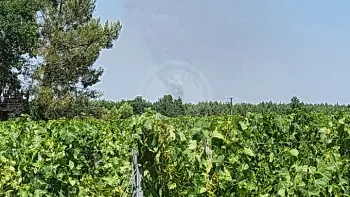 Incendie à Donnezac - Gironde - 25 juin 2026 - Feux de forêts et d'espaces naturels