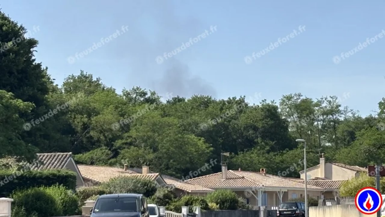 Incendie à Le Taillan-Médoc - Gironde - 27 mai 2026 - Feux de forêts et d'espaces naturels