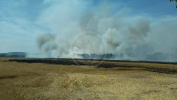 Incendie à Saint-Germain-en-Laye - Yvelines - 25 juin 2026 - Feux de forêts et d'espaces naturels