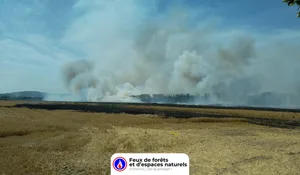 Incendie à Saint-Germain-en-Laye (78) : les pompiers interviennent