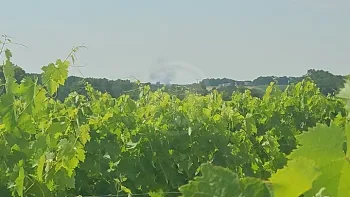 Incendie à Pouillac - Charente-Maritime - 25 juin 2026 - Feux de forêts et d'espaces naturels