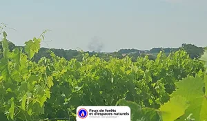 Incendie à Pouillac (17) : le feu est éteint