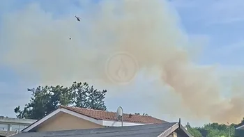 Incendie à Biganos - Gironde - 25 juin 2026 - Feux de forêts et d'espaces naturels