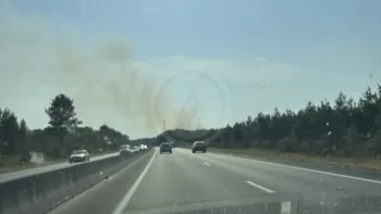 Incendie à Biganos - Gironde - 25 juin 2026 - Feux de forêts et d'espaces naturels