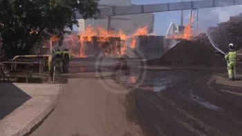Incendie à Biganos - Gironde - 25 juin 2026 - Feux de forêts et d'espaces naturels
