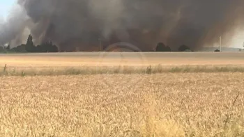 Incendie à Huisseau-sur-Mauves - Loiret - 25 juin 2026 - Feux de forêts et d'espaces naturels